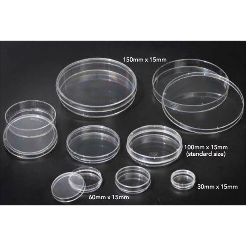 Picture of Polylab Plastic Petri Dish 125 mm for Lab Use