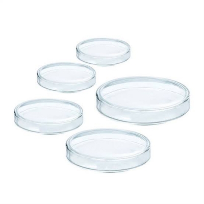 Picture of Glass Petri Dishes 90mm for Biology Lab