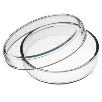 Picture of Glass Petri Dishes 90mm for Biology Lab