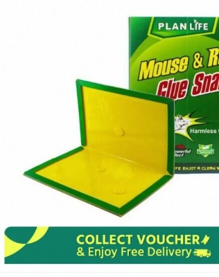 Picture of Mouse Rat Bond Traps Green Killer China (1/3/6 Pcs)-Multicolor