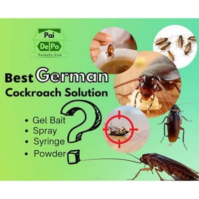 Picture of Cockroach killing Hit gel 20 gm