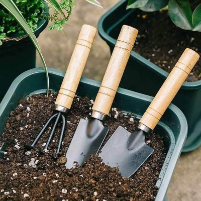 Picture of 3pcs Mini Garden Shovel Rake Spade Erramientas Bonsai Tools Set Wooden Handle For Flowers Potted Plant-Multicolor