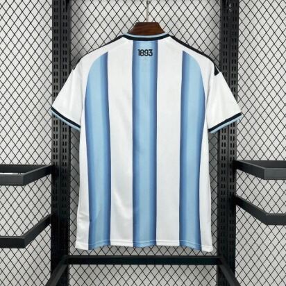 Picture of Authentic Argentina World Cup New Half Sleeve Premium Football Jersey 2026