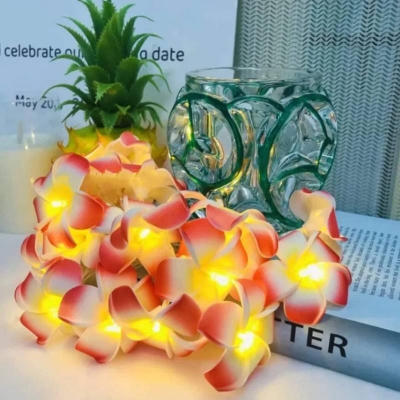 Picture of Decorative Plumeria Flower String Lights, LED Kathgolap Fairy Lights for Bedroom, Wedding & Home Decor - Dream-Cart-BD