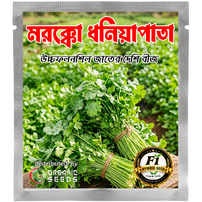 All Season Hybrid Coriander 0.25gm Seeds