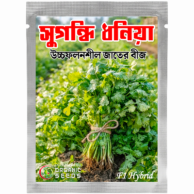 Aromatic Coriander Seeds 0.25gm Pack