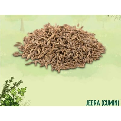 Picture of Jira/জিরা-Irani Cumin Seed ( Irani Jira / ইরানি জিরা ) -250gm-250 gm