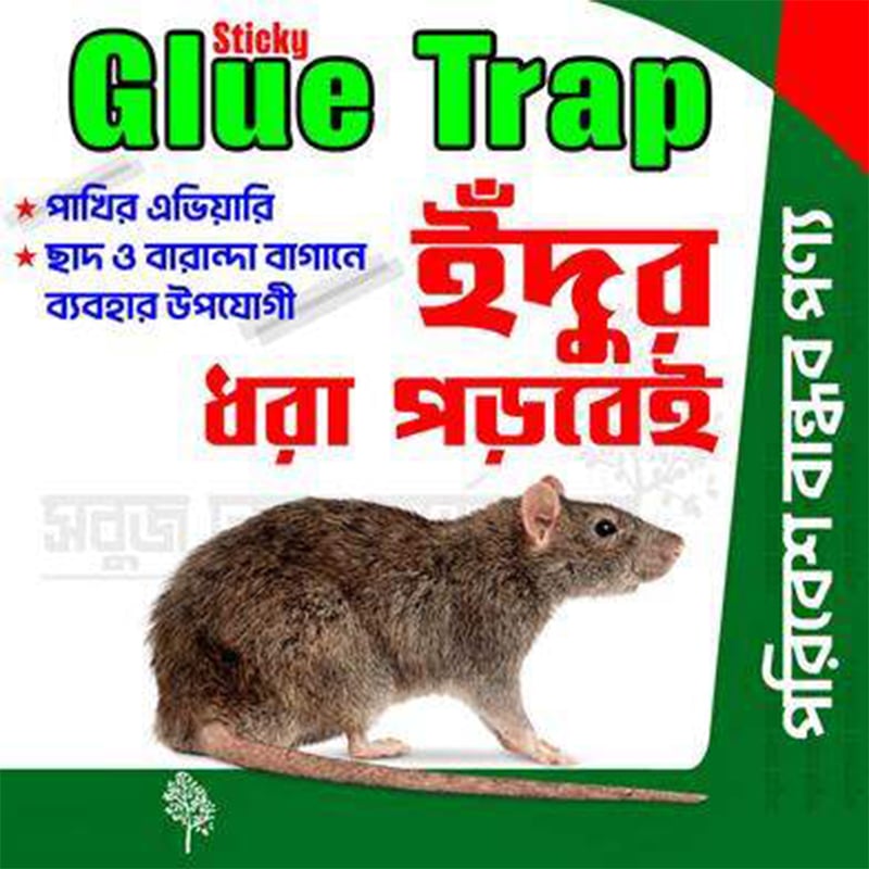 Picture of Mouse Rat Bond Traps Green Killer China (3 Pcs)-Green