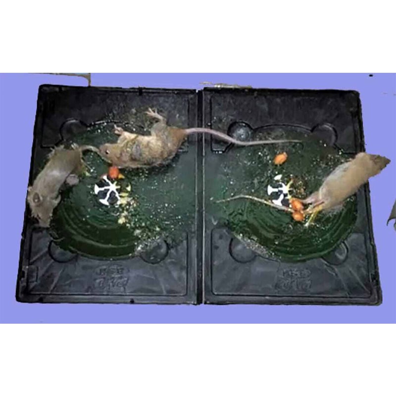 Picture of Rat & Mouse Bond Traps, idur Marar CD , Glue Trap 5 Pieces Combo