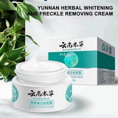 Picture of Japanese Melasma Cream Dr Hancy Dark Spots Remover cream