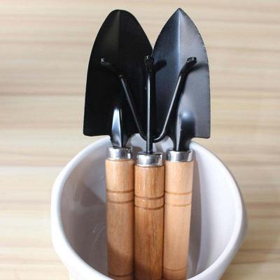Picture of 3Pcs Set Gardening Tools – Small Shovel, Rake, and Potting Supplies for Flowers, Vegetables, and Succulents