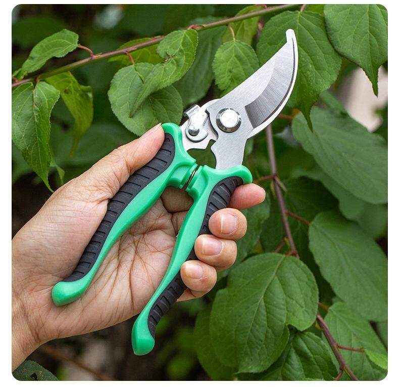 Picture of Best Quality eight Inch Stainless Steel Pruner Tree Plant Cutter Gardening Pruning Shear Trimming Pruning Scissors