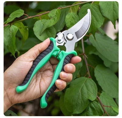 Picture of Best Quality eight Inch Stainless Steel Pruner Tree Plant Cutter Gardening Pruning Shear Trimming Pruning Scissors
