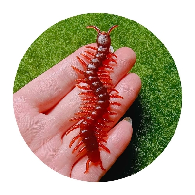 Picture of 10 Pcs Artificial Centipede Halloween Decoration Prop Insect Model April Fool Day Novel Fun Small Toy Simulated Centipede Trick Toys