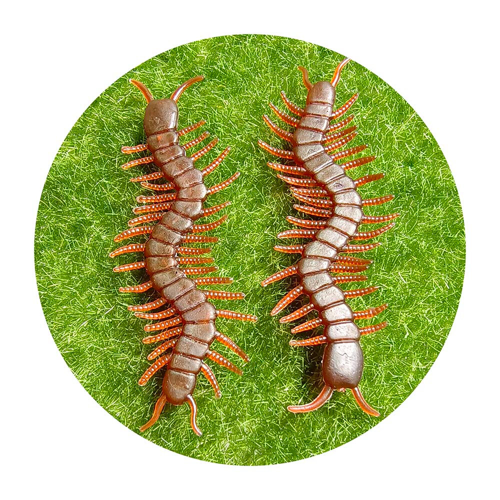 Picture of 10 Pcs Artificial Centipede Halloween Decoration Prop Insect Model April Fool Day Novel Fun Small Toy Simulated Centipede Trick Toys