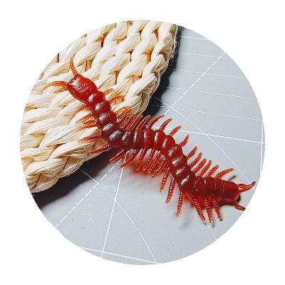 Picture of 10 Pcs Artificial Centipede Halloween Decoration Prop Insect Model April Fool Day Novel Fun Small Toy Simulated Centipede Trick Toys