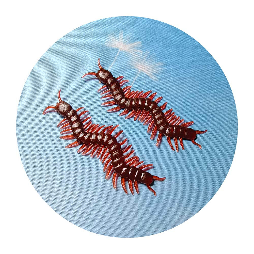 Picture of 10 Pcs Artificial Centipede Halloween Decoration Prop Insect Model April Fool Day Novel Fun Small Toy Simulated Centipede Trick Toys