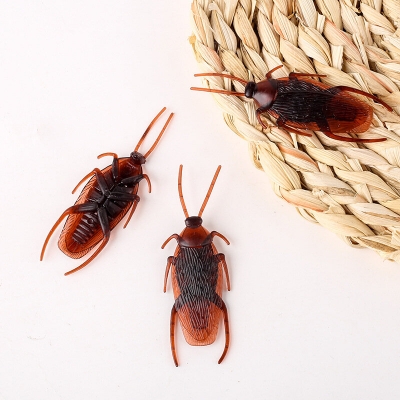 Picture of 10 Pcs Halloween Simulation Cockroach Toy Funny Disgusting Scary Tidy for Holiday Decorations