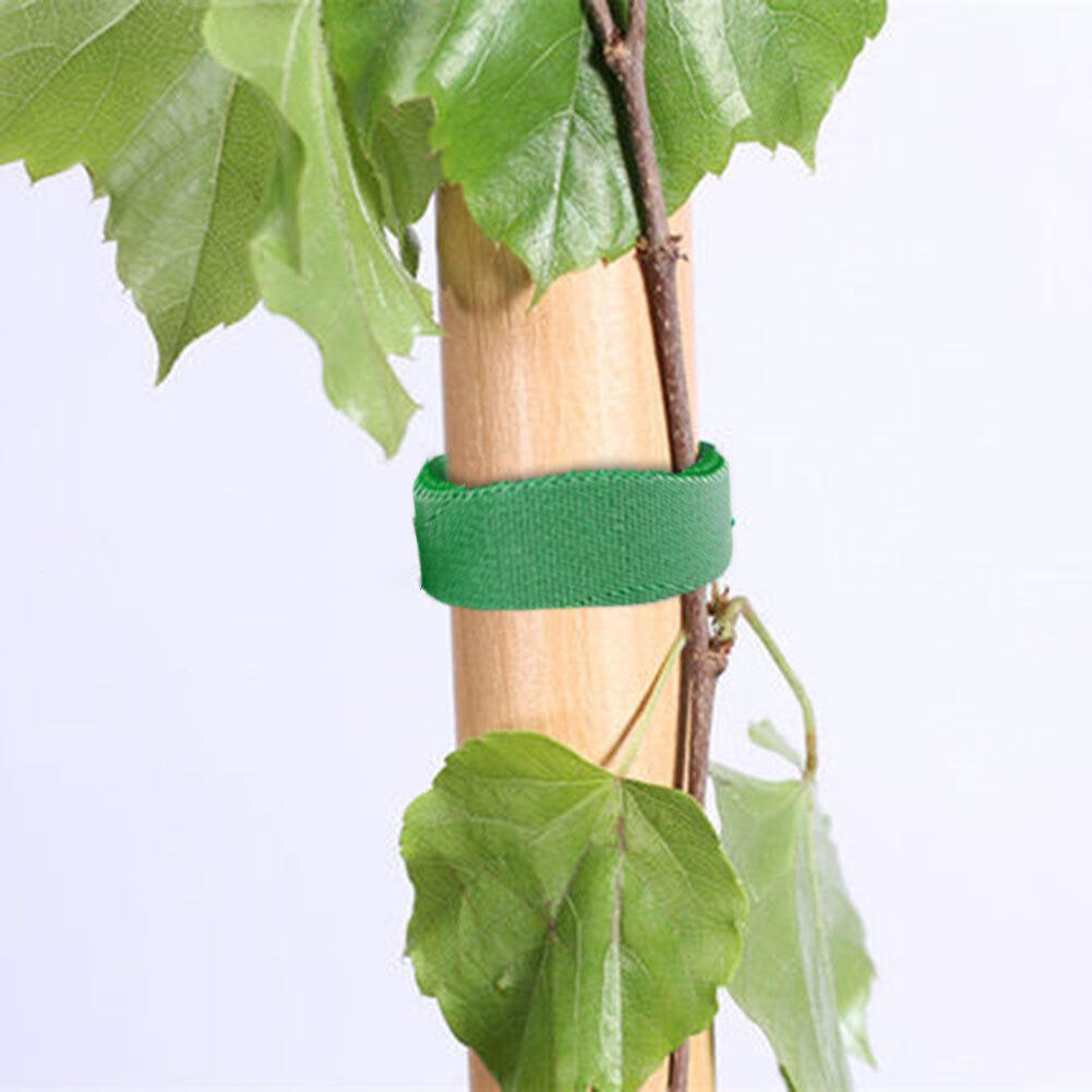 Picture of 1 Rolls Green Garden Twine Plant Ties Nylon Plant Bandage Garden Hook Loop Bamboo Cane Wrap Support Garden Accessories