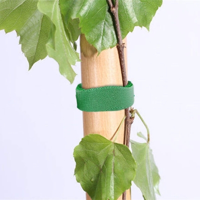 Picture of 1 Rolls Green Garden Twine Plant Ties Nylon Plant Bandage Garden Hook Loop Bamboo Cane Wrap Support Garden Accessories