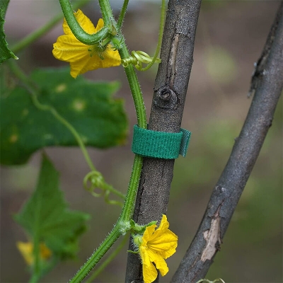 Picture of 1 Rolls Green Garden Twine Plant Ties Nylon Plant Bandage Garden Hook Loop Bamboo Cane Wrap Support Garden Accessories