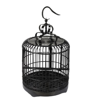Buy Birds House at Best Price in Bangladesh