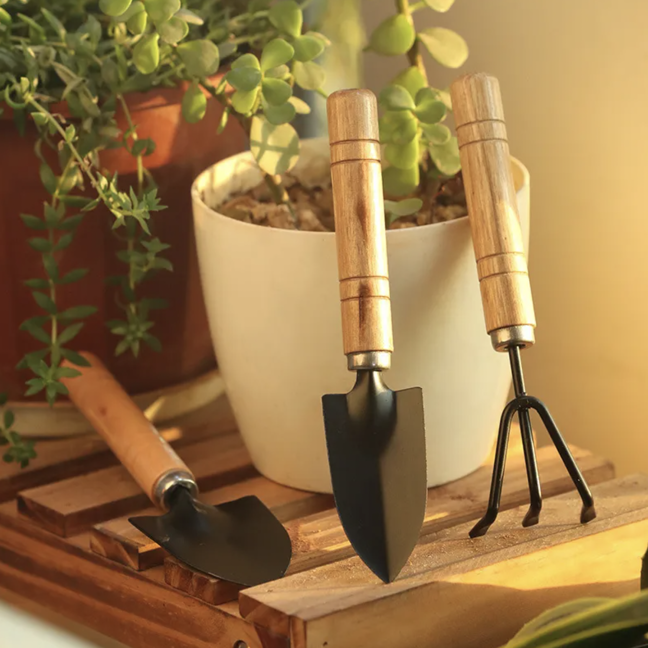 Picture of 3 - Piece Mini Garden Tool Set – Shovel, Rake, Spade with Wooden Handles for Plants & Weeding, Flowers Potted Plant Set Small 7" - 3 PCS - Black