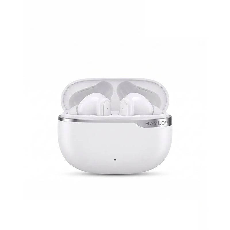 Picture of Haylou Flowbuds N10 TWS Earbuds
