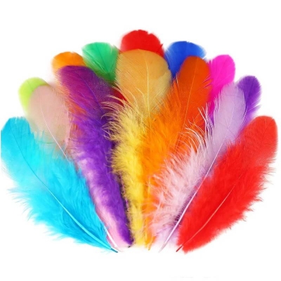 Picture of Multicolor Craft Feathers – 50 Pcs