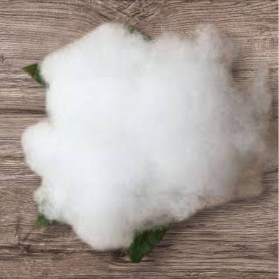 Picture of Premium Soft Polyester Fiber Filling – 100g-White
