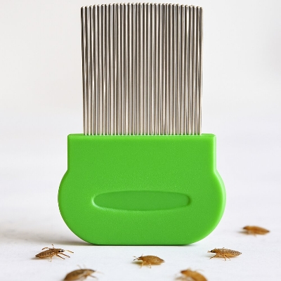Picture of Professional Stainless Steel big Nit Free Louse Nit Comb Terminator Lice Brush(mix color 1pcs) - Multicolor
