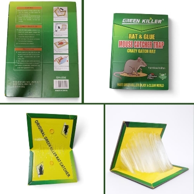 Picture of China Rat and Glue Mouse Catcher Trap Rat Killer Crazy Catch Rat 1pcs - 1pcs
