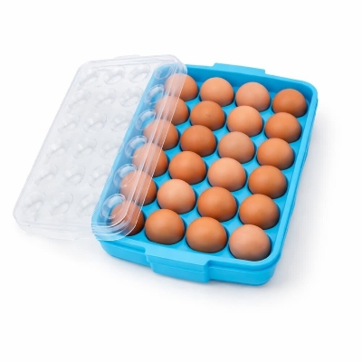 Picture of BP Plastic Egg Tray Large – 24 Grid Refrigerator Storage Box - Multicolor