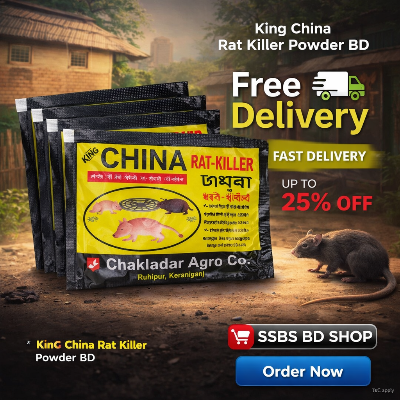 Picture of King China Rat Killer Powder BD 4pcs
