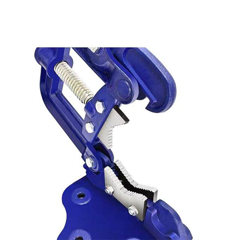 Picture of Pipe Vise 2 NO/2 inches(50.8mm) -Blue