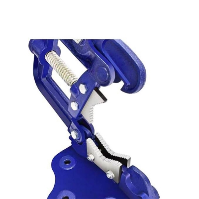 Picture of Pipe Vise 2 NO/2 inches(50.8mm) -Blue
