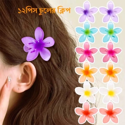 Picture of 12-Piece Kathgolap Flower Claw Hair Clip Set
