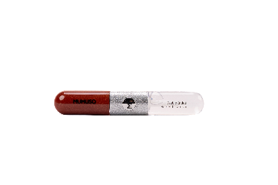 Picture of Double-Ended Pearlized Lip Glaze (03 Brick Red)
