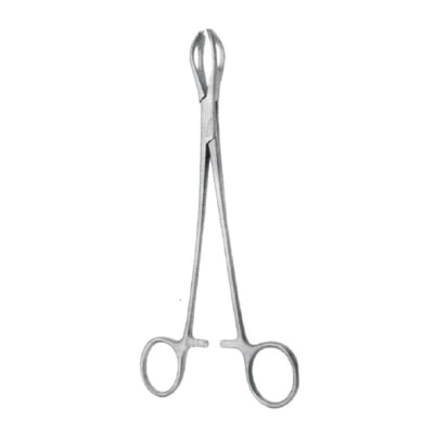 Picture of Tissue Forceps Large For Dental