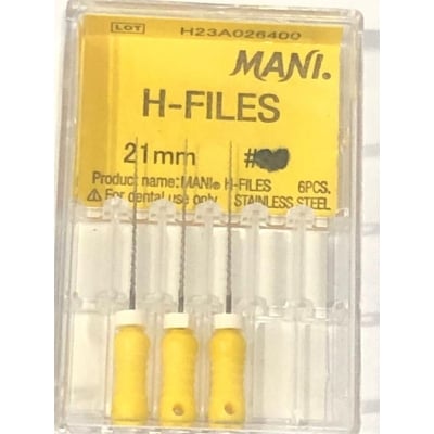 Picture of 20 H File 21mm