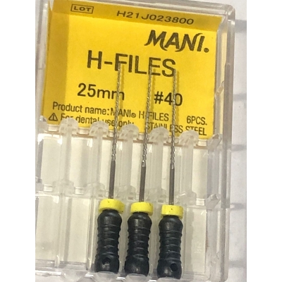 Picture of 40 H File 25mm
