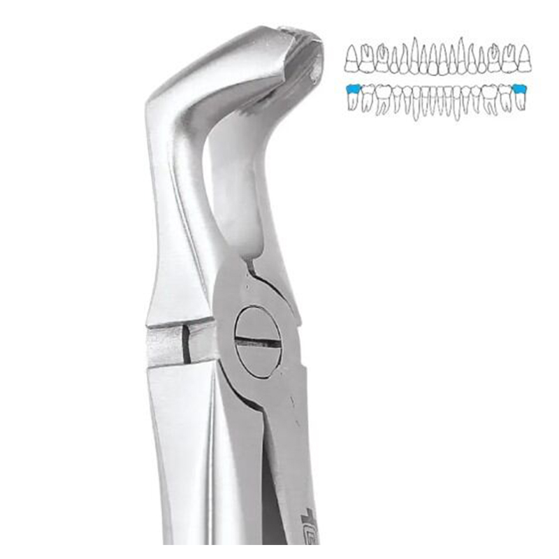 Picture of Forceps- Dental 3rd Molar Forceps-Silver