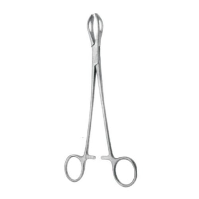 Picture of Stainless Steel Tissue Forceps-Silver