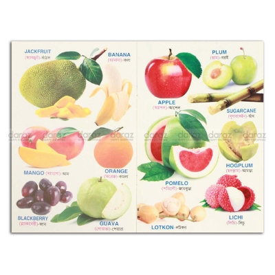 Picture of 8 PCS Laminated Kids Book Set Fruits Flower Bird Fish Human Body Reptiles Vehicles Animals Picture Learning Alphabet Bengali English Letter Children Early Education Preschool Kindergarten Toddler Phonics Fun Toy Study Ideal Gift for Baby Boys/Girls Combo