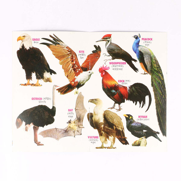 Picture of 8 PCS Laminated Kids Book Set Fruits Flower Bird Fish Human Body Reptiles Vehicles Animals Picture Learning Alphabet Bengali English Letter Children Early Education Preschool Kindergarten Toddler Phonics Fun Toy Study Ideal Gift for Baby Boys/Girls Combo