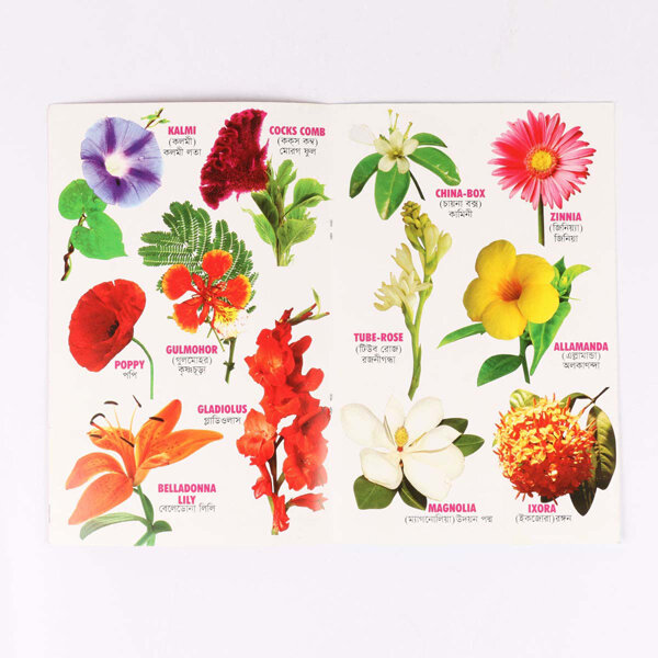 Picture of 8 PCS Laminated Kids Book Set Fruits Flower Bird Fish Vegetables Reptiles Vehicles Animals Picture Learning Alphabet Bengali English Letter Children Early Education Preschool Kindergarten Toddler Phonics Fun Toy Study Ideal Gift for Baby Boys/Girls Combo - Multicolor