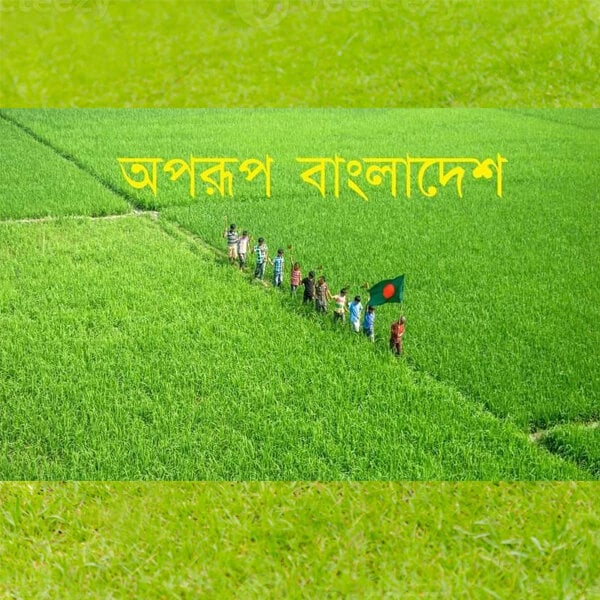 Picture of Premium (2.5 By 1.5) Feet Bangladesh National Flag Direct Factory Supply Set D China Fabric Potaka Patriotism Any Occasion Celebrate Victory Independence Day Stationery Craft Green Red Color-Sticky Note Brand Combo [Free Gift 2 PCS Headband]