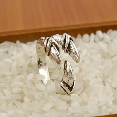 Picture of Adjustable Creative Bird Leg Finger Ring Set D1 Versatile Personality Autumn Retro Angti Daily Life Jewelry Accessories Birthday Wedding Engagement Bridal Party Fair Festival Gift Item for Male and Female Gold Silver Mixed Color - jade