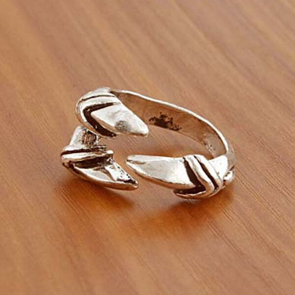 Picture of Adjustable Creative Bird Leg Finger Ring Set D1 Versatile Personality Autumn Retro Angti Daily Life Jewelry Accessories Birthday Wedding Engagement Bridal Party Fair Festival Gift Item for Male and Female Gold Silver Mixed Color - jade