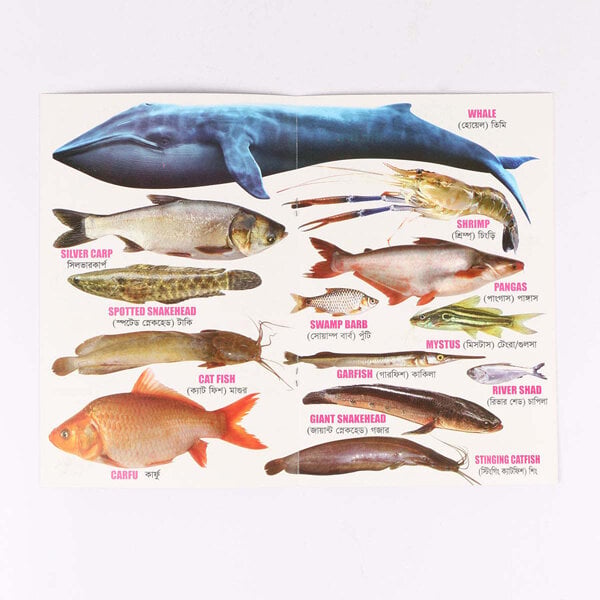 Picture of 9 PCS Laminated Kids Book Set Fruits Flower Bird Fish Vegetables Insects Vehicles Animals Picture Learning Alphabet Bengali English Letter Children Early Education Preschool Kindergarten Toddler Phonics Fun Toy Study Ideal Gift for Baby Boys/Girls Combo